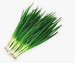 Supplier / Penyedia Sayuran Segar Siap Antar Kota