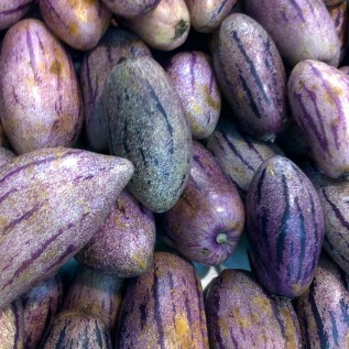 Kerjasama Supply BUAH-SAYUR SEGAR