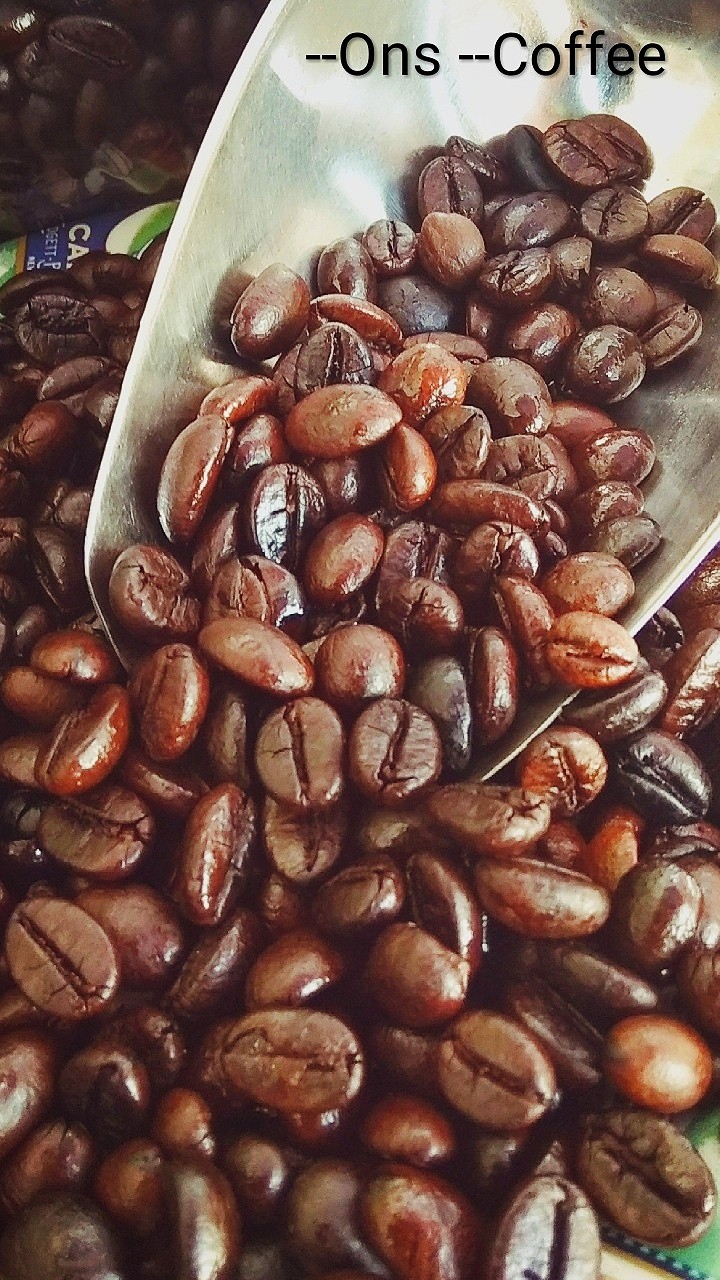 Suplai Biji kopi matang atau Roastedbean