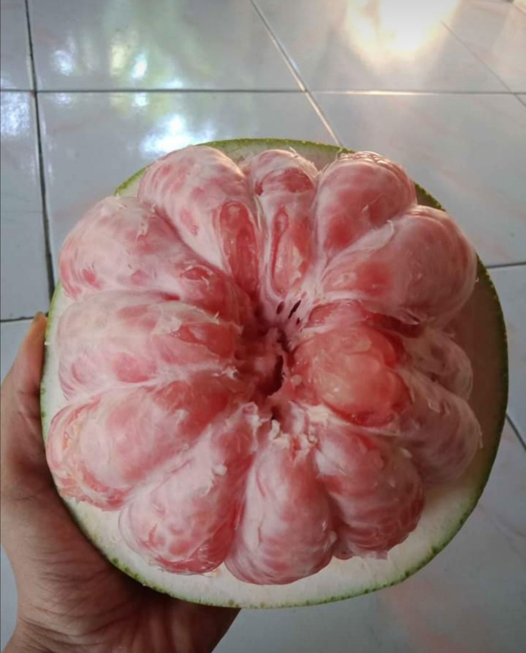 Jeruk pamelo madu