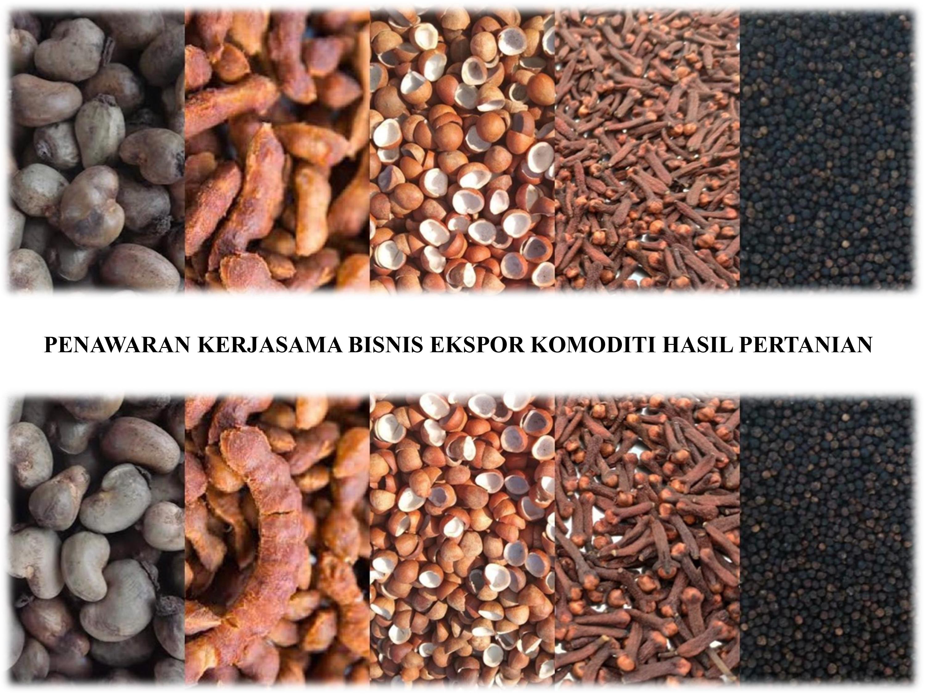 Kerjasama Bisnis Ekspor Komoditi Hasil Pertanian Indonesia