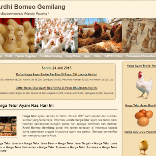 Info Harga Telur Ayam Ras Hari Ini !!!