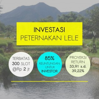 INVESTASI PETERNAKAN LELE