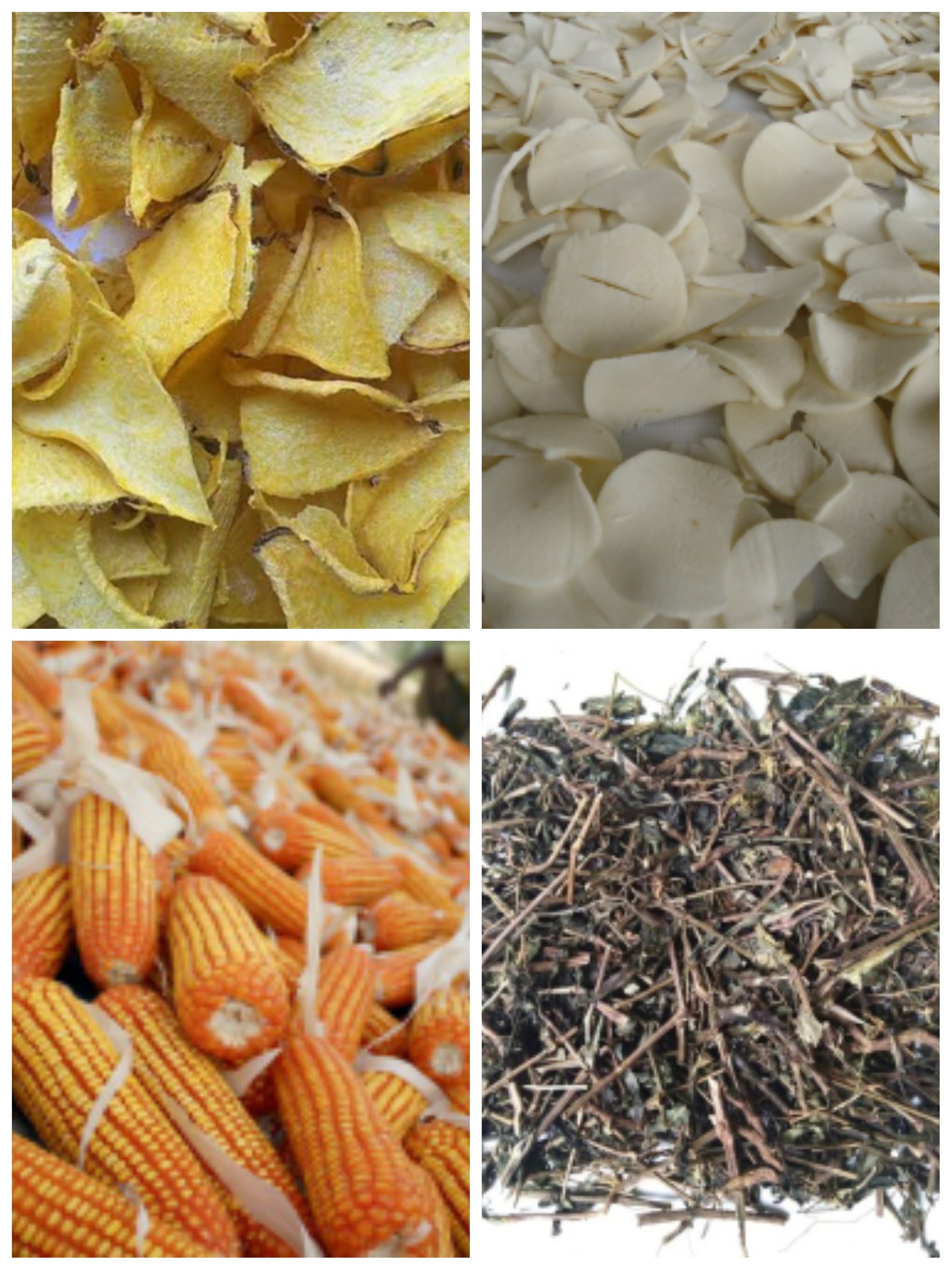 Menerima jasa pengeringan (oven) :Porang, jagung, sambiroto, singkong dsb