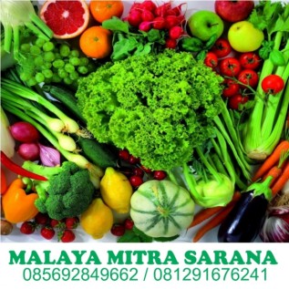 Supplier Sayur Mayur Jakarta