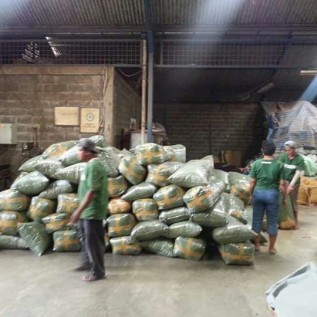 Siap Supply Basahan 10 s/d 20 Ton per Bulan