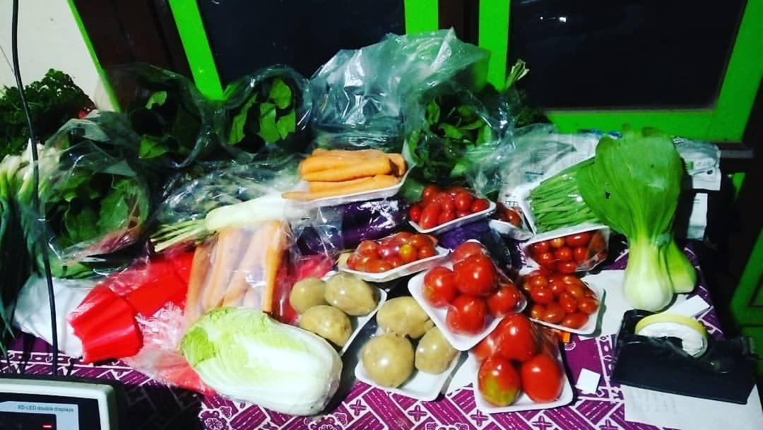 DICARI SUPPLIER SAYURAN SEGAR KEBUTUHAN SEHARI-HARI