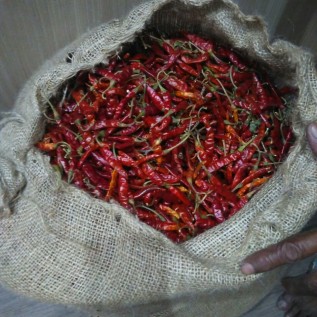 CABE KERING TEJA DAN S4