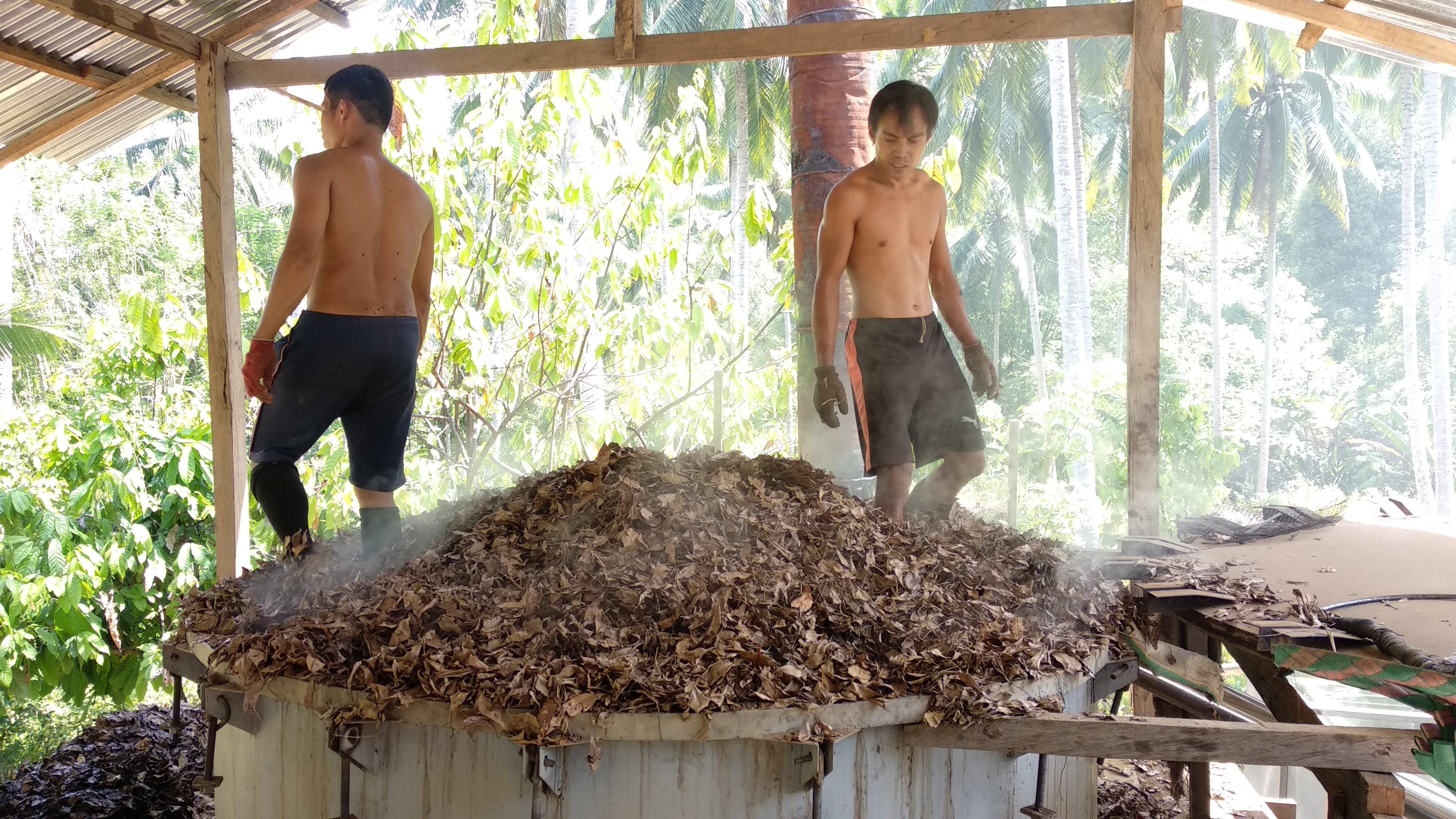 Mencari pemodal di proyek penyulingan Minyak Cengkeh