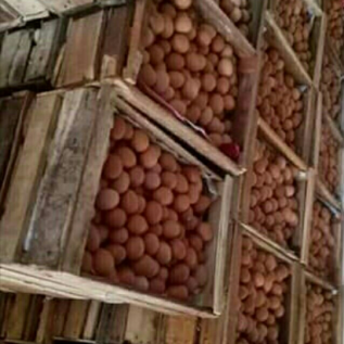 Kerjasama