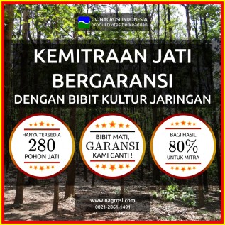 KEMITRAAN JATI BERGARANSI + SERTIFIKAT (BAGI HASIL 80% UNTUK MITRA)