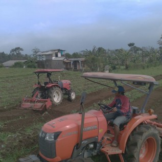 Sewa Traktor Pertanian