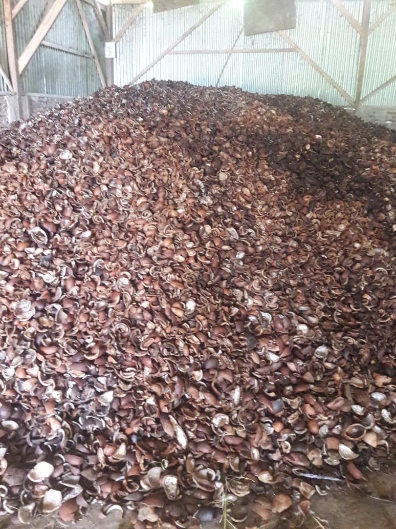 Kopra Kualitas terbaik (Curah)